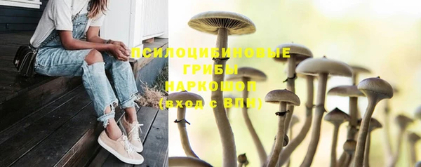 тгк Заводоуковск