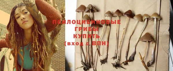 тгк Заводоуковск