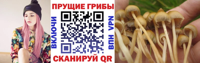 Галлюциногенные грибы мицелий  Ивантеевка 